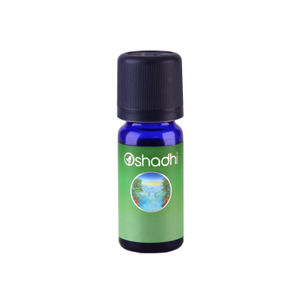 Evergreen 10 ml blend met Rozemarijn, Cypres, Cedar en Spar olie.